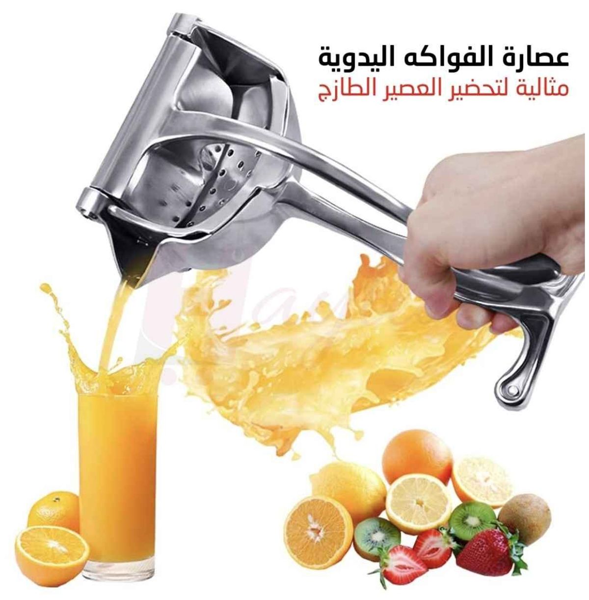 عصارة الفواكه اليدوية pm